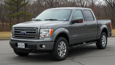 2014 ford f-150 rhk dup